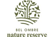Bel Ombre Nature Reserve